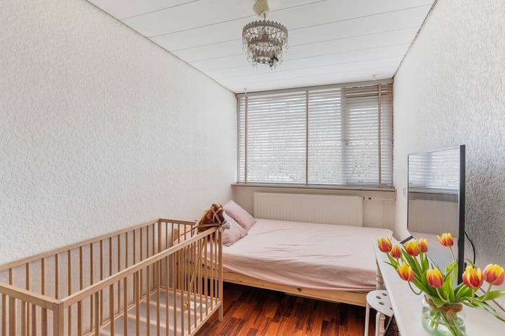 Foto 33 van Willem Lodewijklaan 53