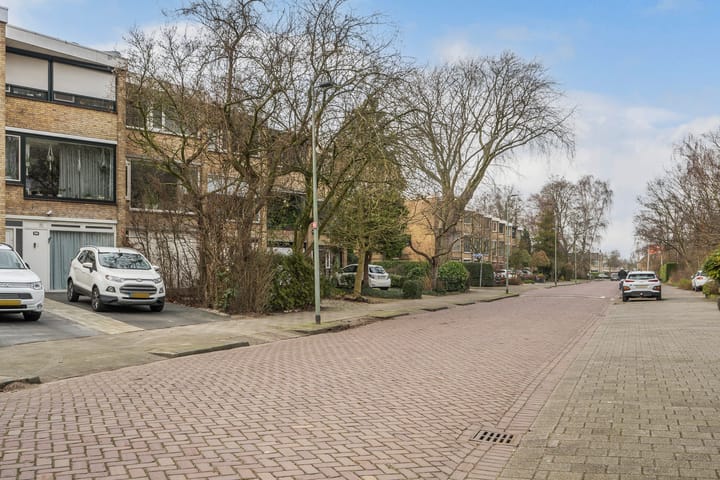 Foto 45 van Willem Lodewijklaan 53