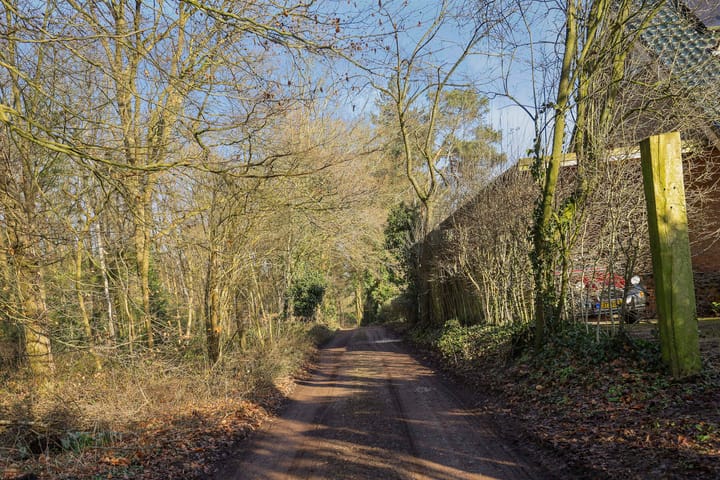 Foto 39 van De Dennenhoek 19