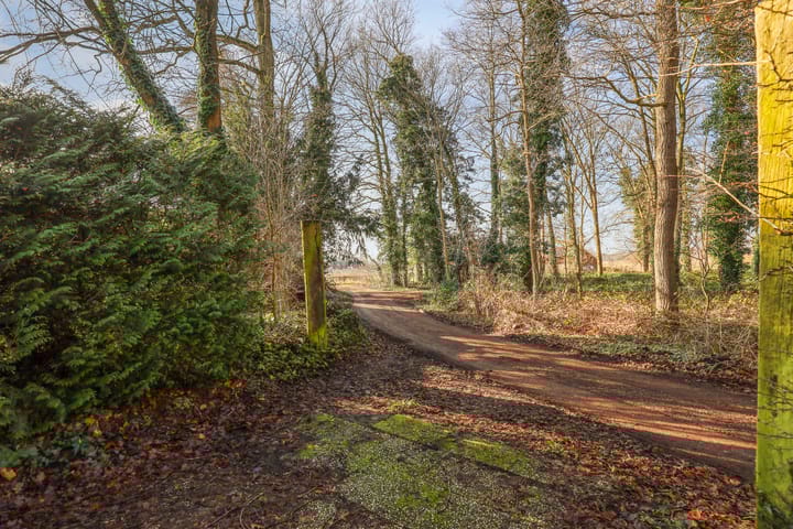 Foto 40 van De Dennenhoek 19