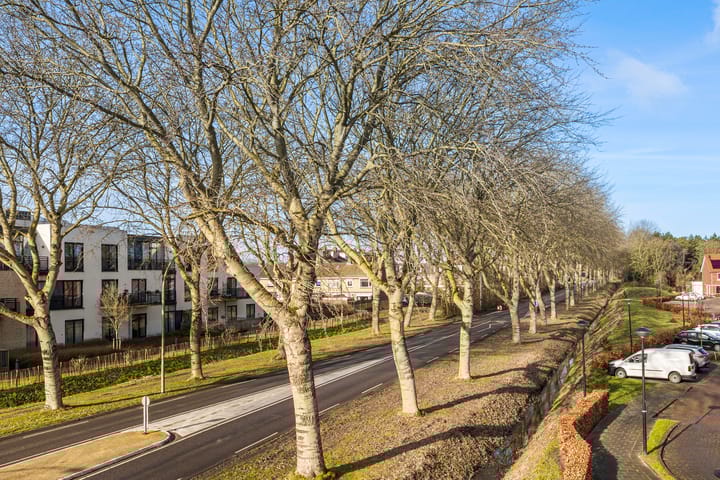 Foto 17 van Parklaan 23