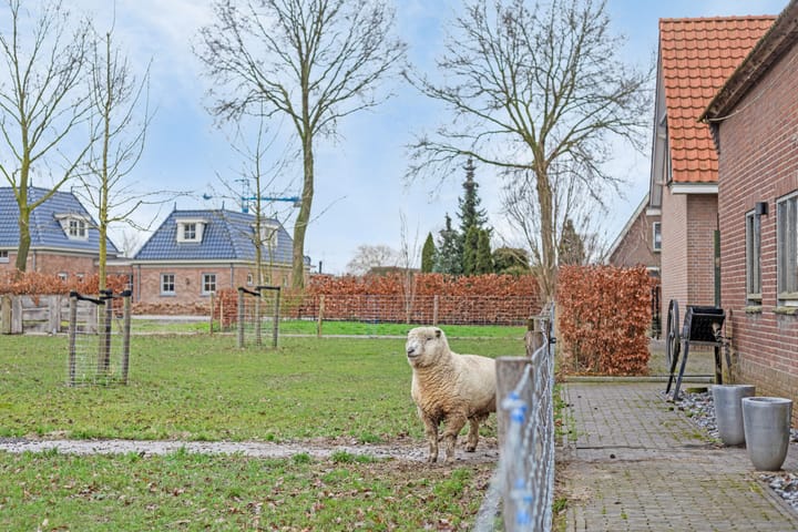 Foto 55 van Kalkestraat 46