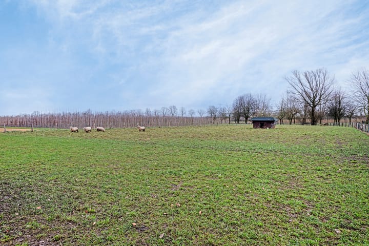 Foto 56 van Kalkestraat 46