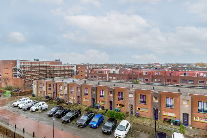 Foto 31 van Iepenwede 38