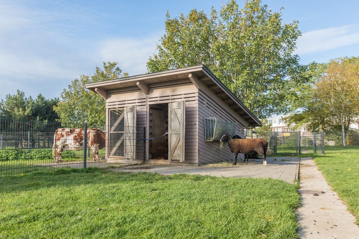 Foto 29 van Frederikastraat 10