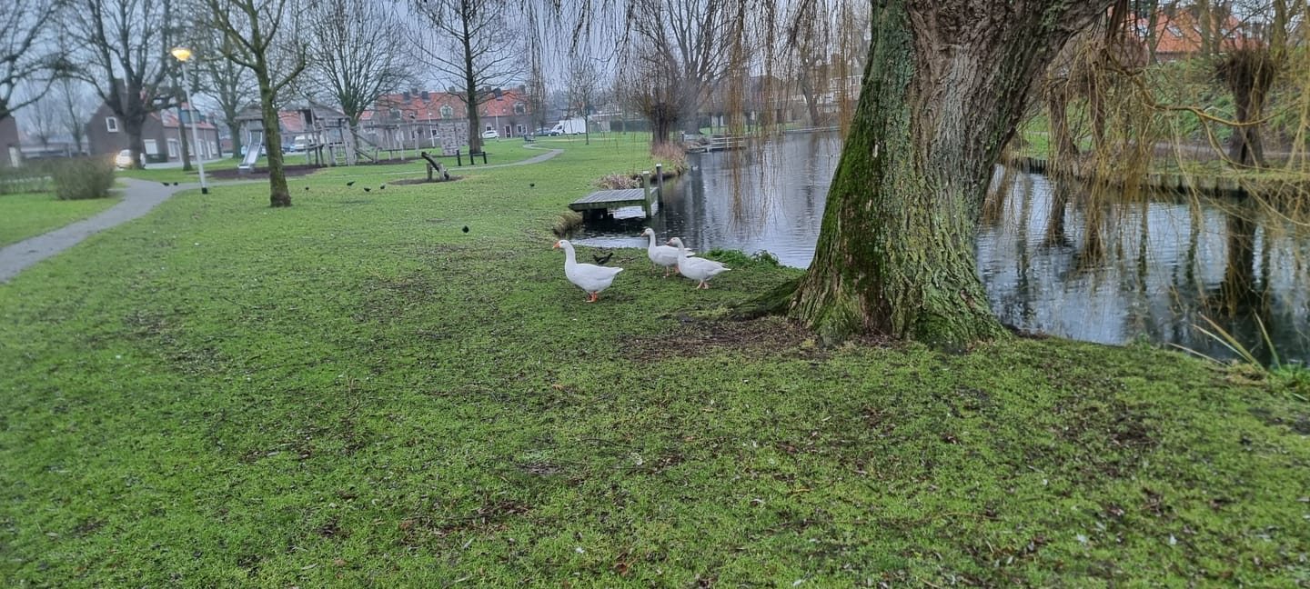 Foto 35 van Oudestad 17