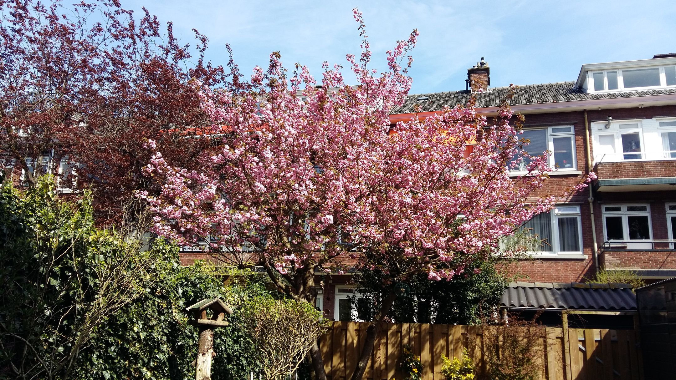 Foto 27 van Statenweg 166-C