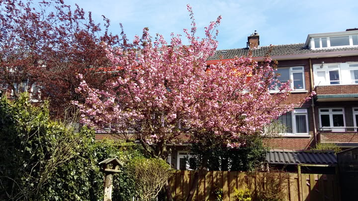 Foto 27 van Statenweg 166-C