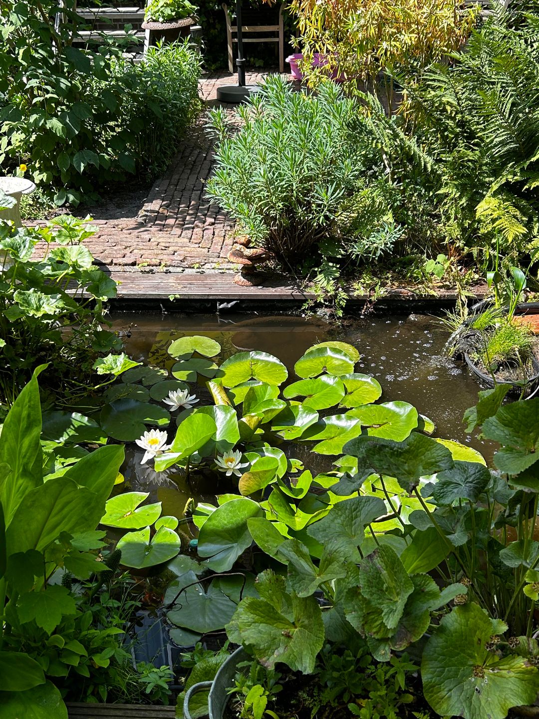 Foto 31 van Statenweg 166-C