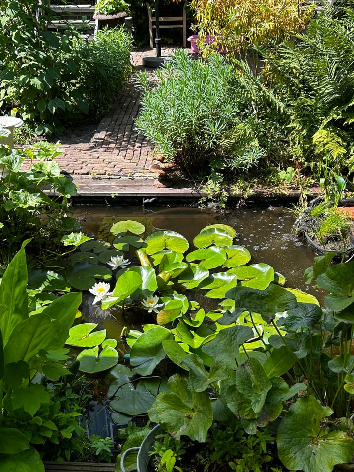 Foto 31 van Statenweg 166-C