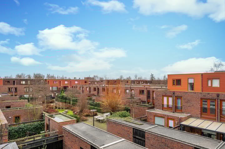 Foto 36 van Grasbloem 45