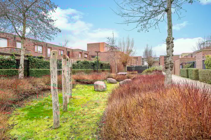 Foto 44 van Grasbloem 45