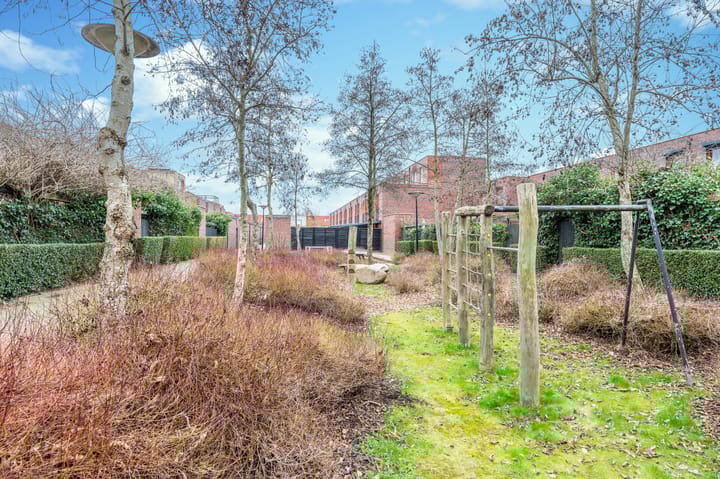 Foto 45 van Grasbloem 45