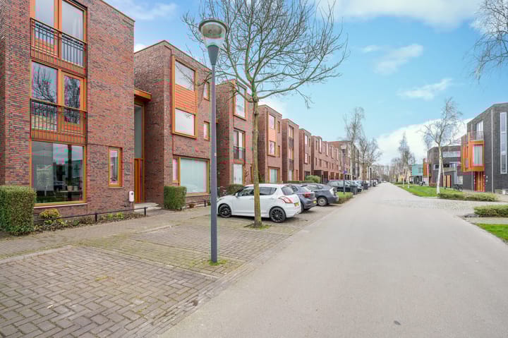 Foto 46 van Grasbloem 45