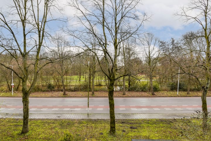 Foto 9 van Olof Palmeplein 61