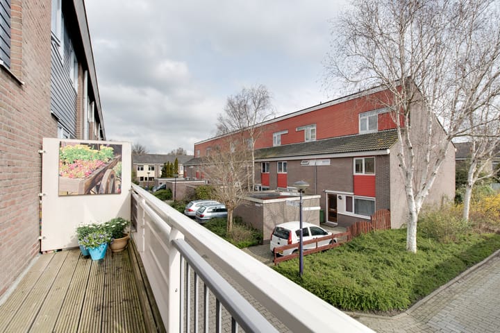 Photo 9 of Boogschutter 149