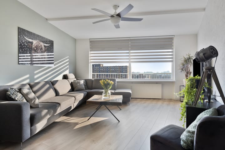 Photo 8 of Kadoelerbos 184