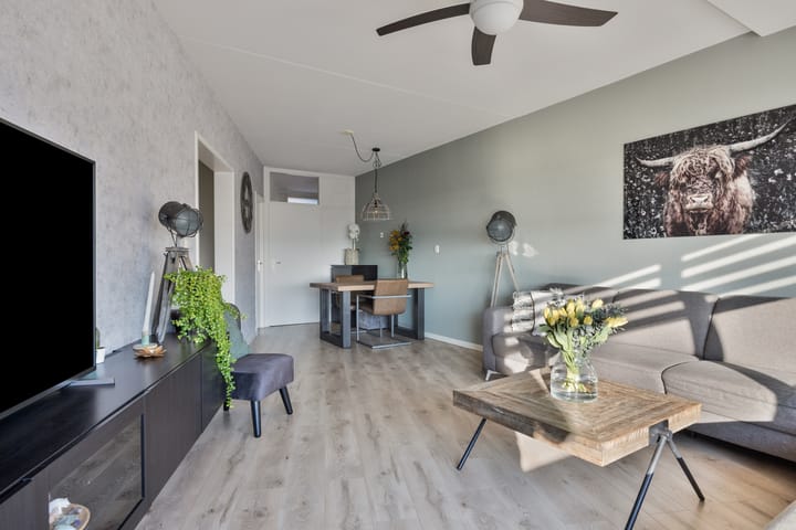 Photo 11 of Kadoelerbos 184