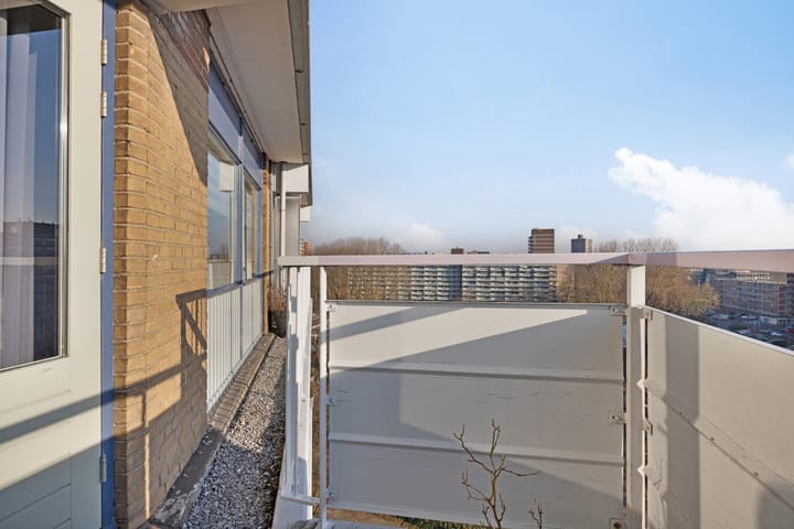 Photo 31 of Kadoelerbos 184