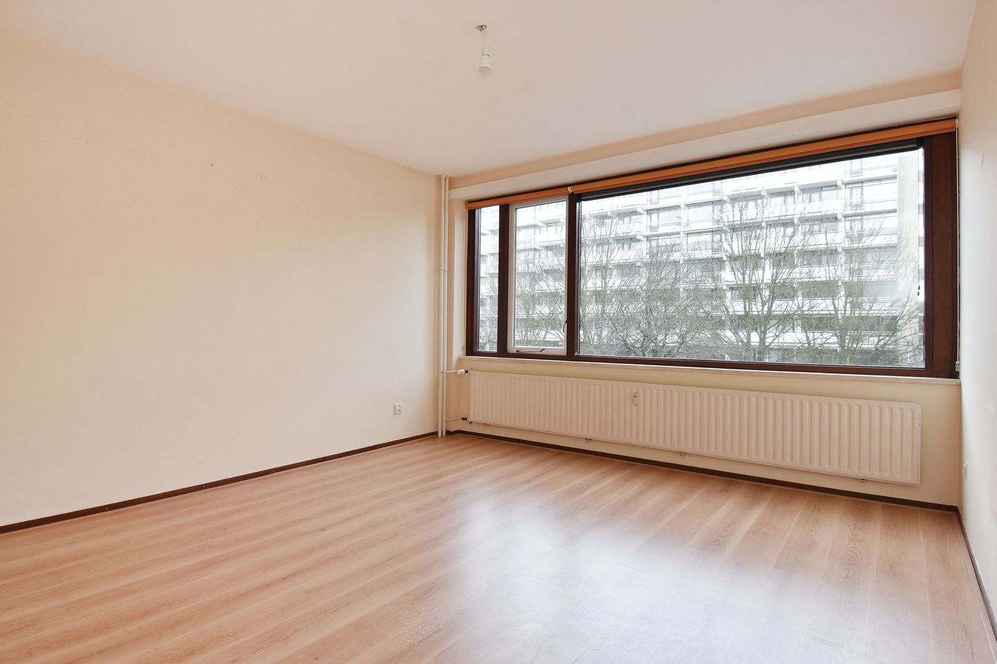 Foto 19 van Denijsstraat 139