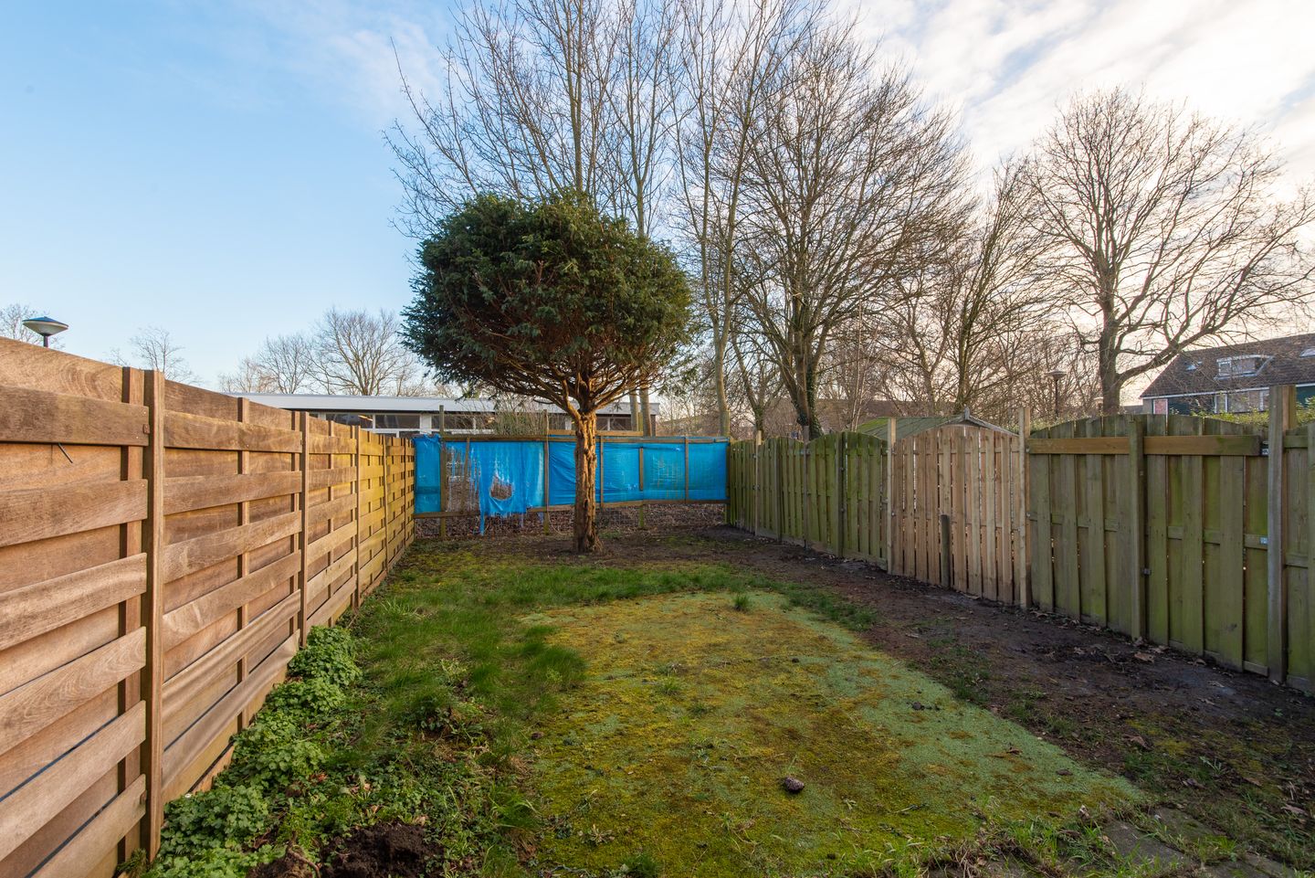 Foto 5 van Granaat 72