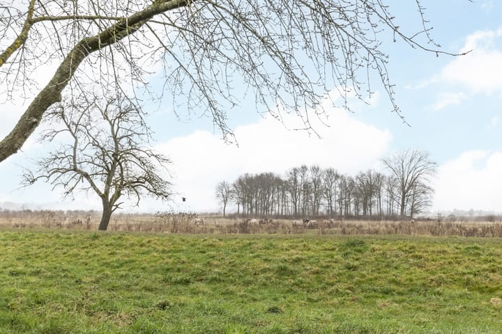 Foto 37 van van Merodestraat 21