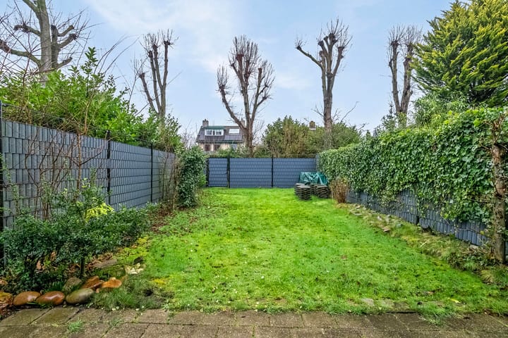 Foto 29 van Contrabas 22