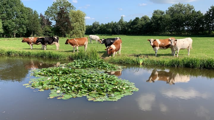 Foto 6 van Kagerdreef 66