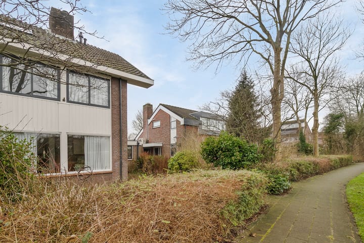 Foto 2 van Beemdgras 4