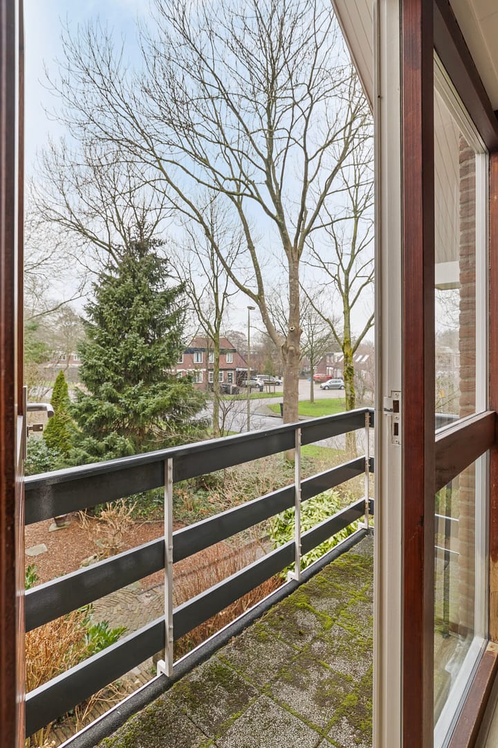 Foto 19 van Beemdgras 4