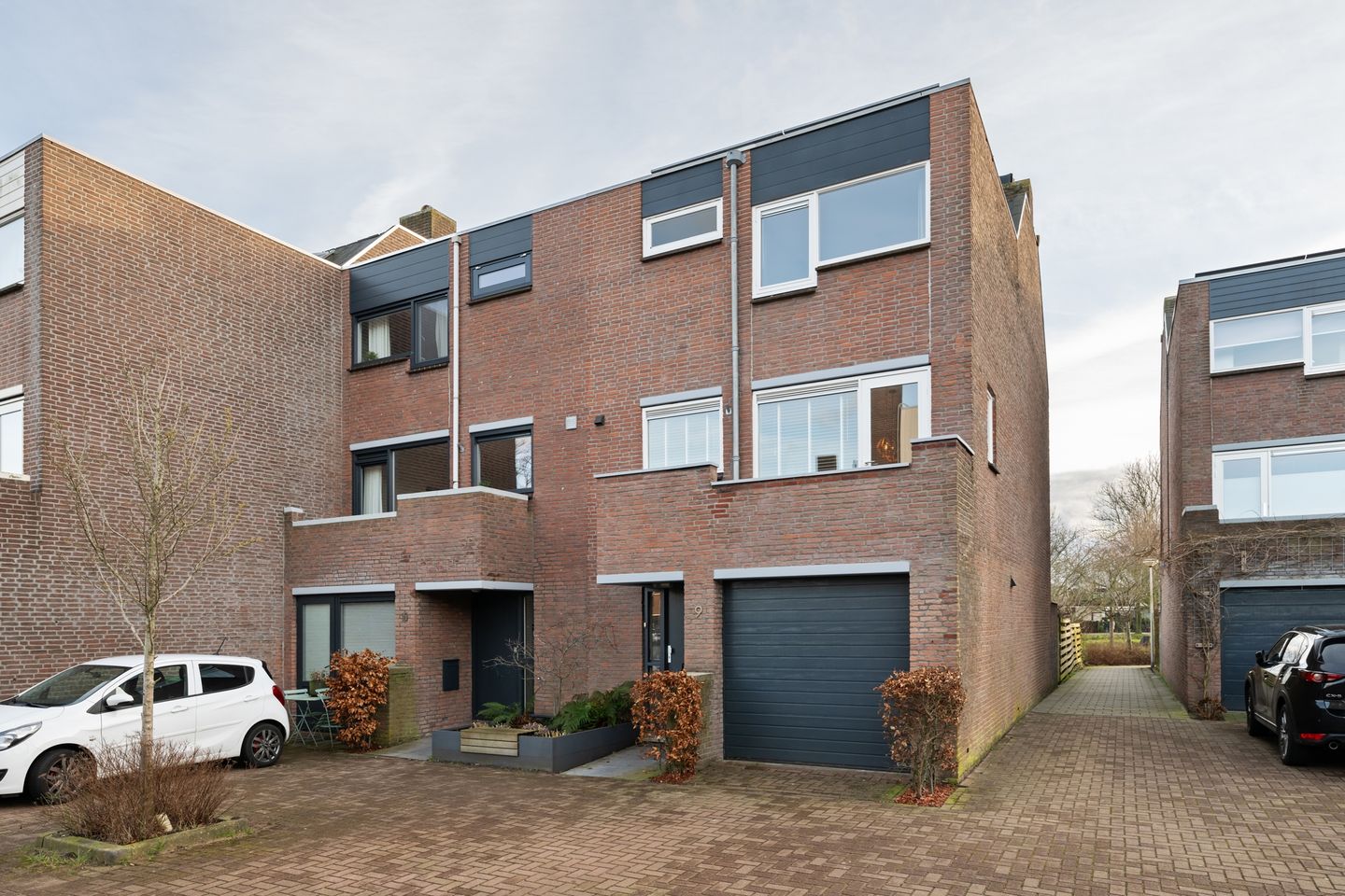 Foto 1 van Sikkelkruid 9