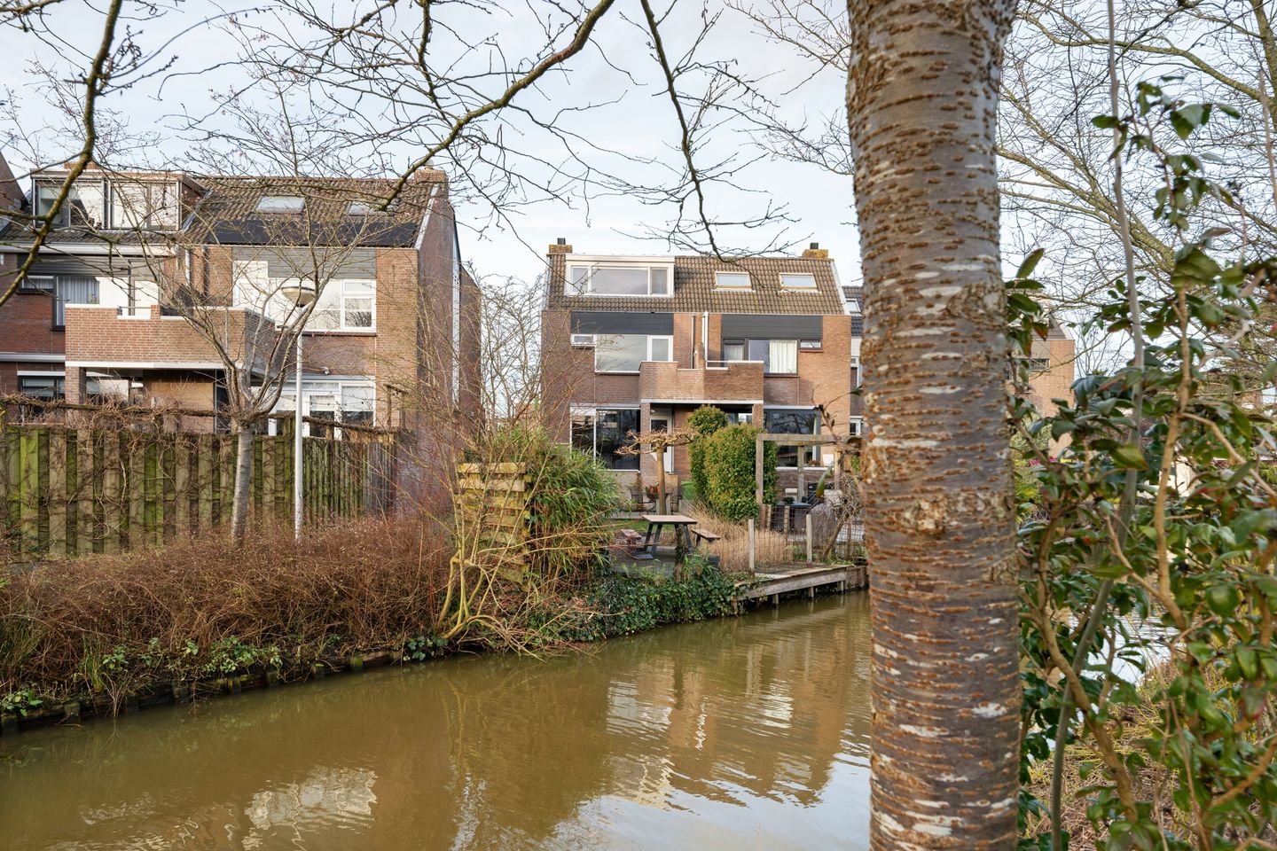 Foto 5 van Sikkelkruid 9