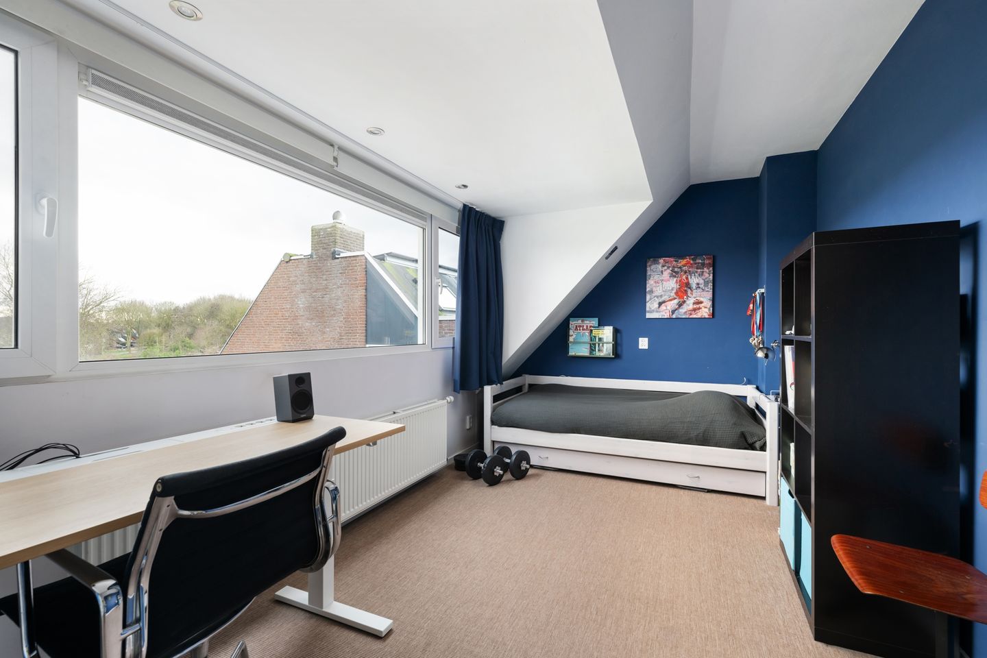 Foto 19 van Sikkelkruid 9