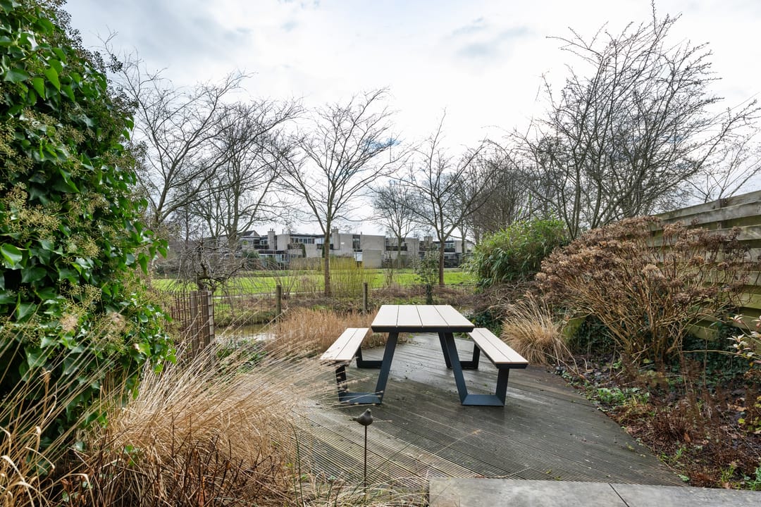 Foto 26 van Sikkelkruid 9