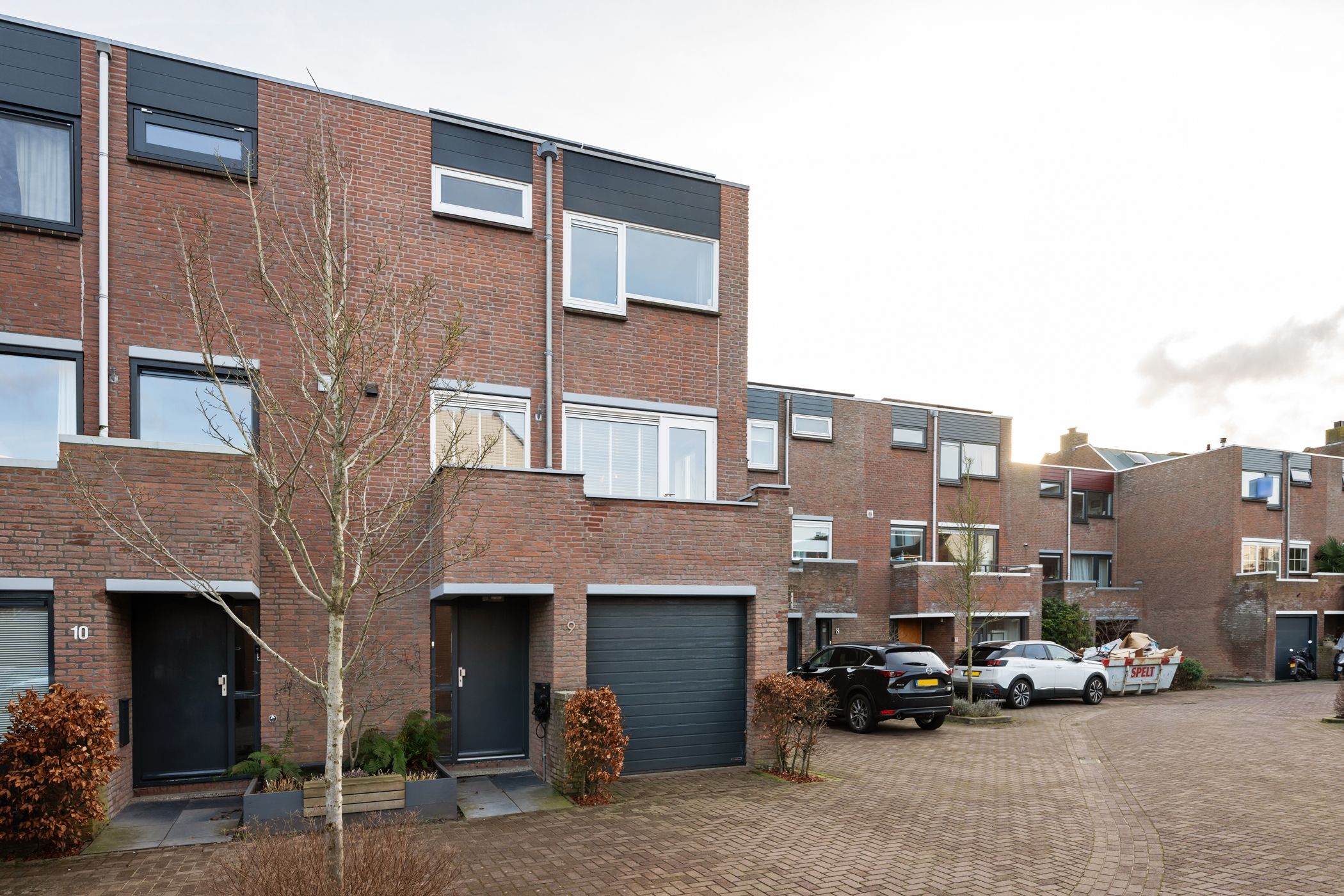 Foto 33 van Sikkelkruid 9