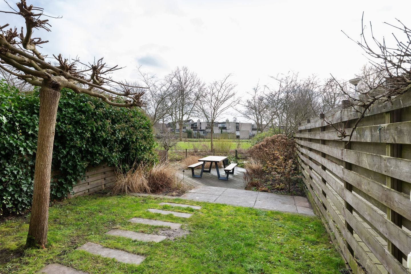 Foto 25 van Sikkelkruid 9