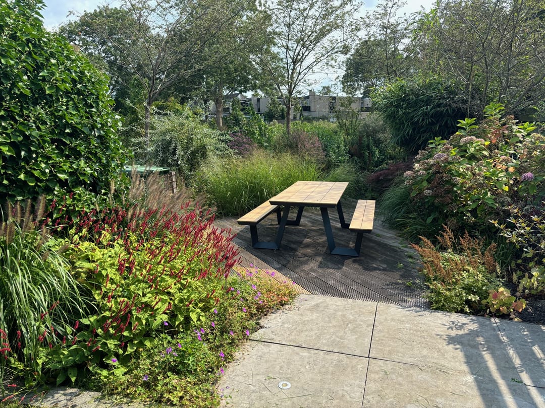 Foto 28 van Sikkelkruid 9