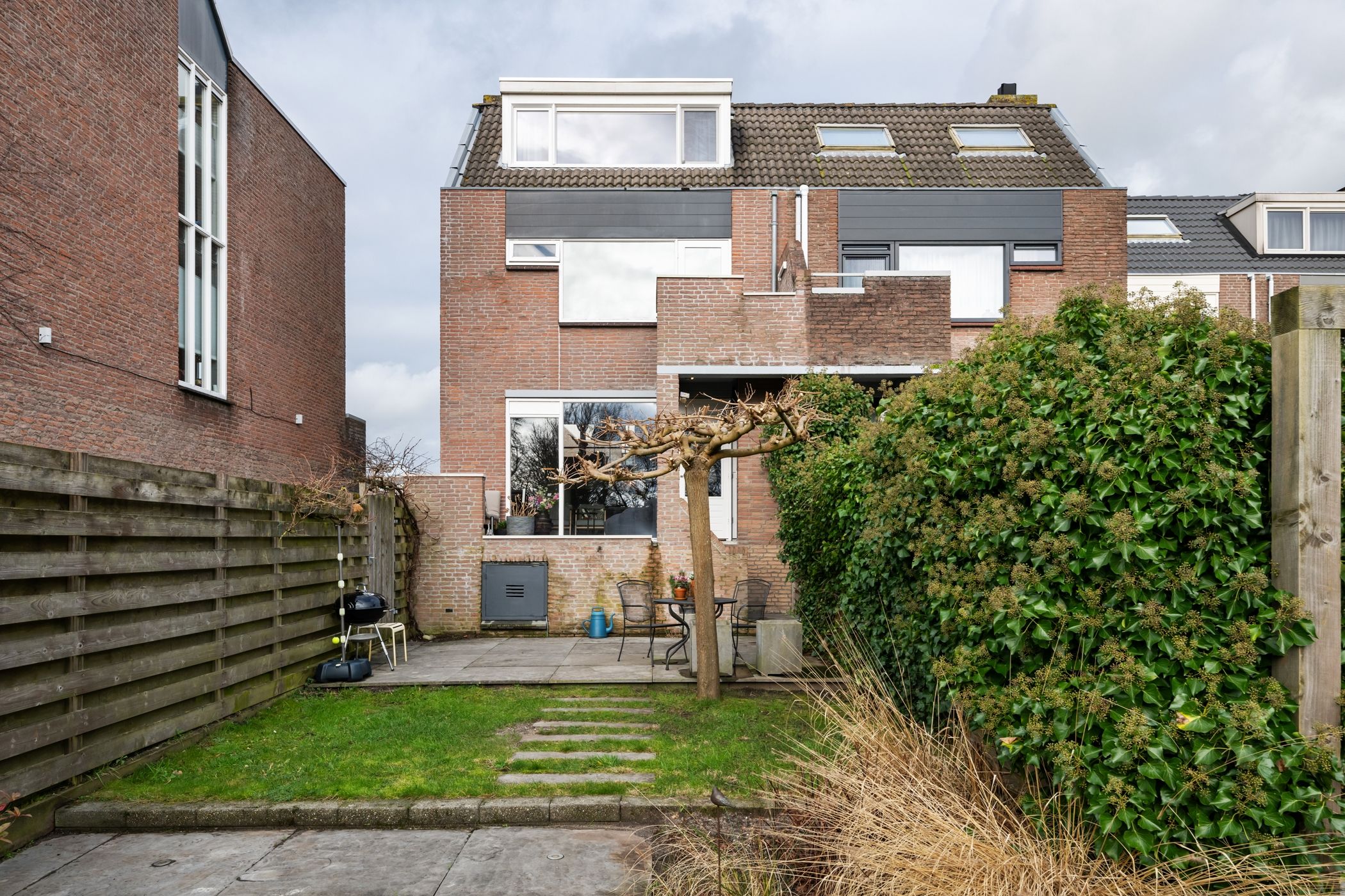 Foto 24 van Sikkelkruid 9