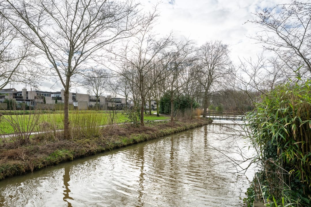 Foto 31 van Sikkelkruid 9