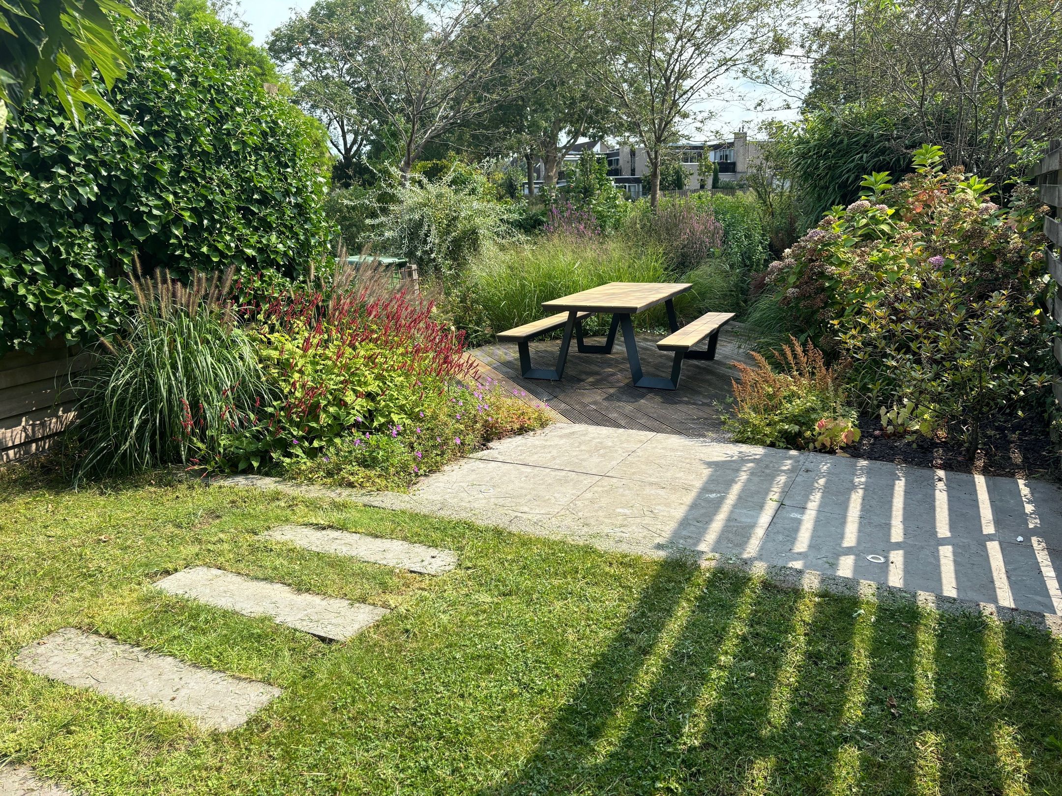 Foto 27 van Sikkelkruid 9