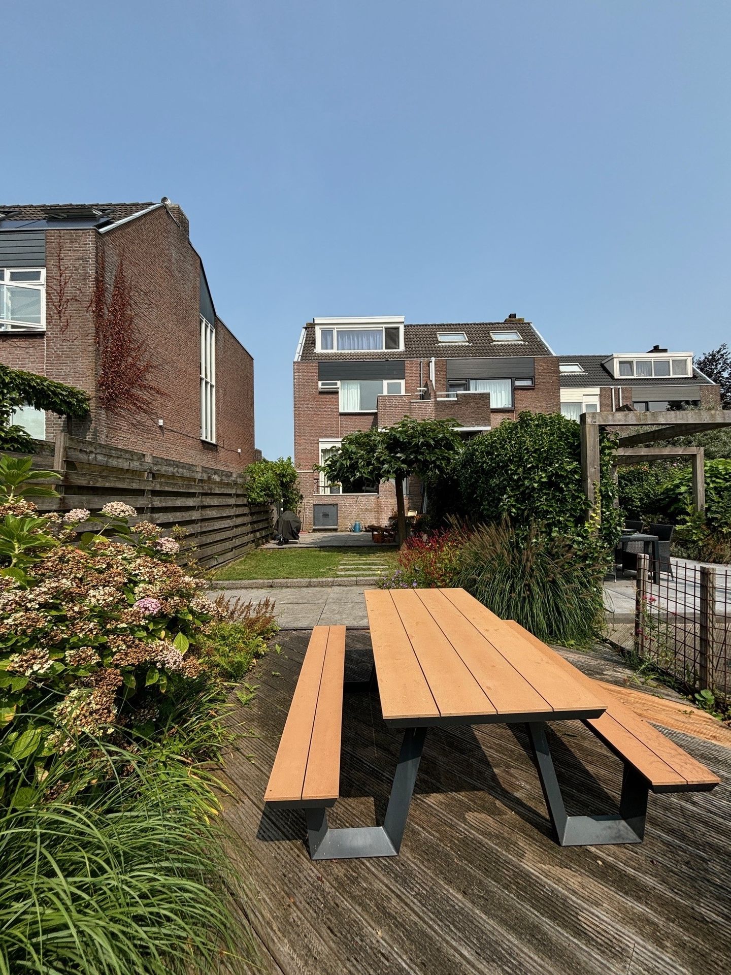 Foto 29 van Sikkelkruid 9