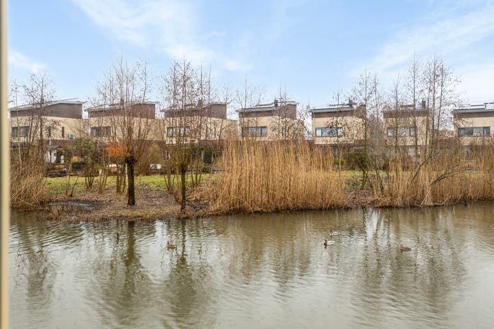 Foto 42 van Beyerinckstraat 12