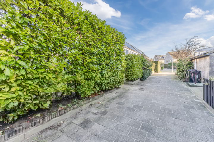 Foto 6 van Landleeuw 20