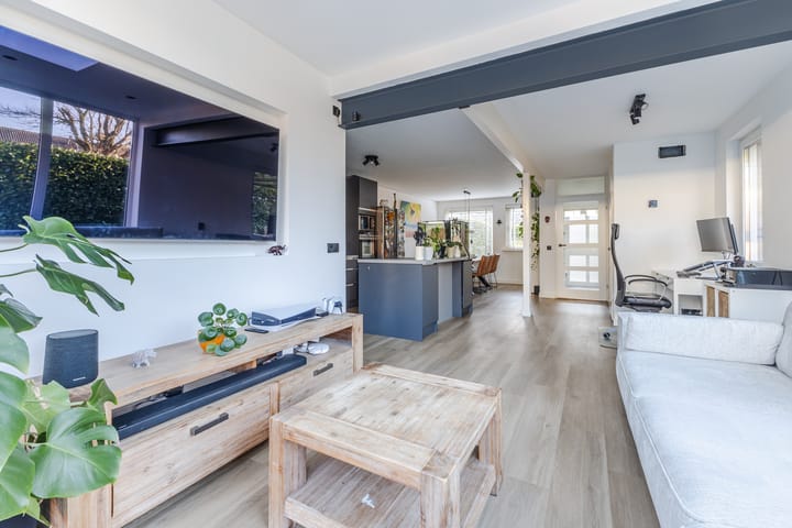 Foto 12 van Landleeuw 20