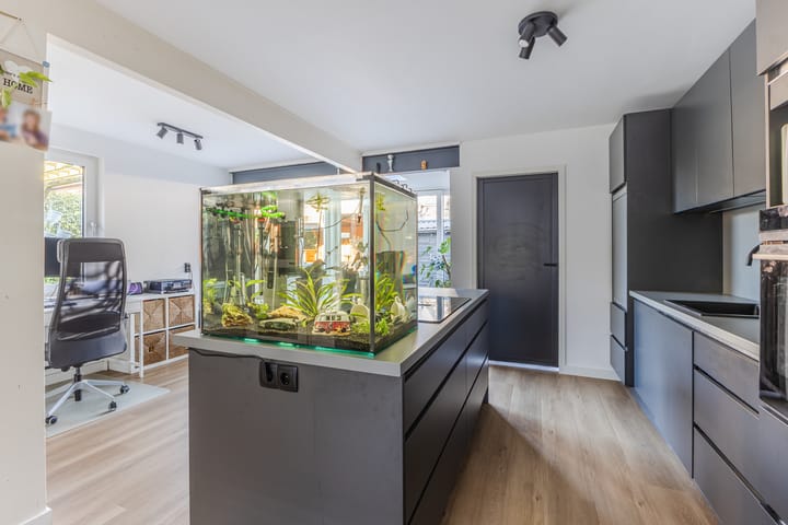 Foto 16 van Landleeuw 20