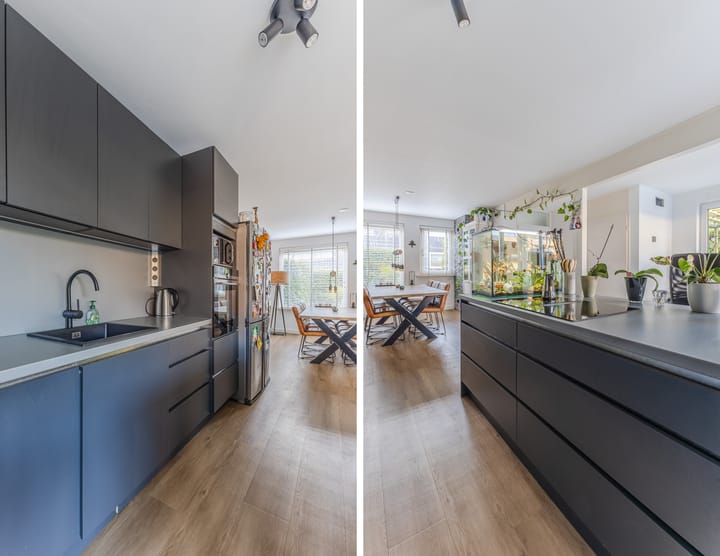 Foto 19 van Landleeuw 20