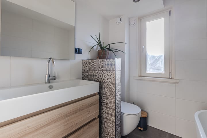 Foto 36 van Landleeuw 20