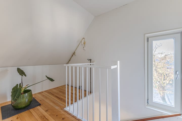 Foto 45 van Landleeuw 20