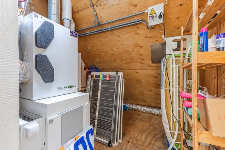 Foto 47 van Landleeuw 20