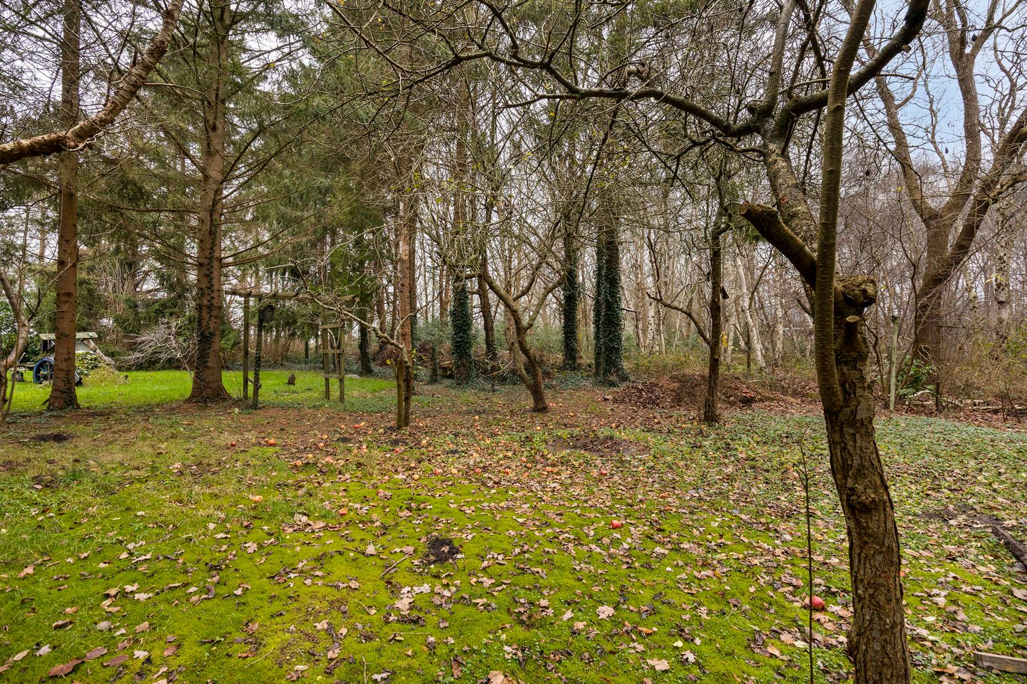 Photo 29 of Graswijk 45-A